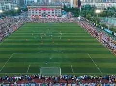 帕雷德斯誓,将全力以赴,迎战巴西,亚博体育,亚博体育app,亚博体育官网,亚博体育下载,亚博体育入口